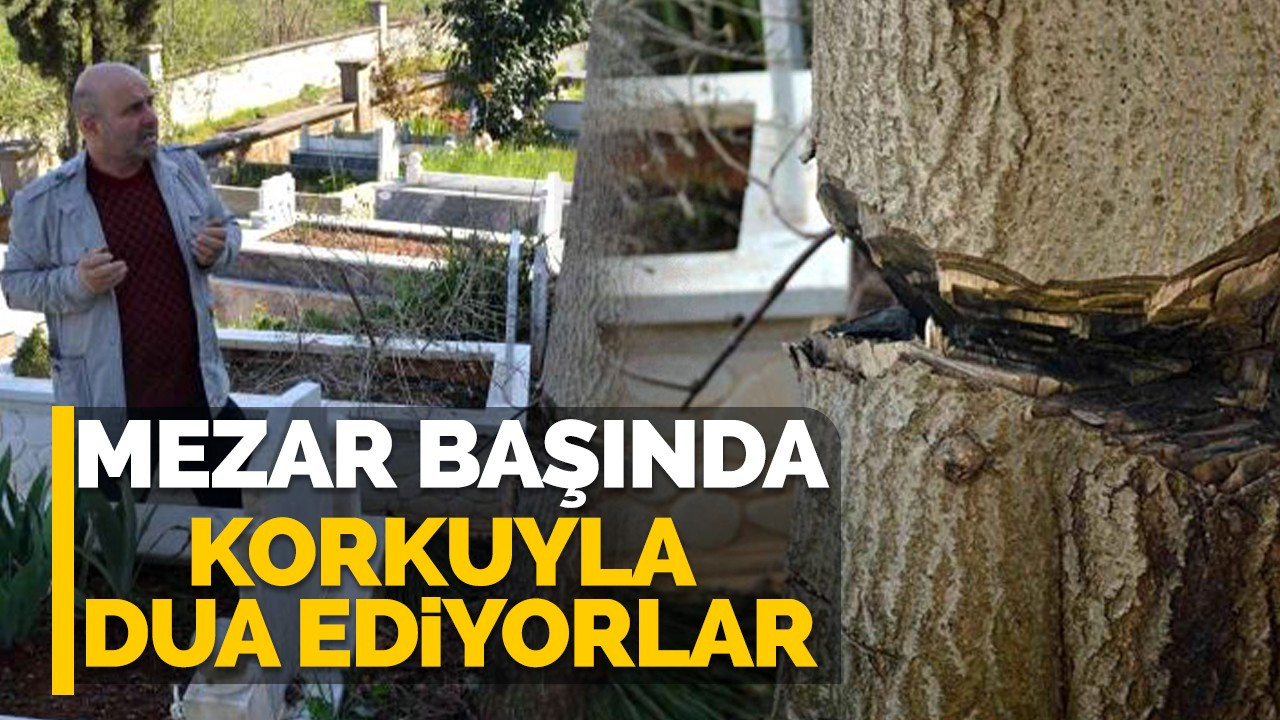 Mezar başında korkuyla dua ediyorlar