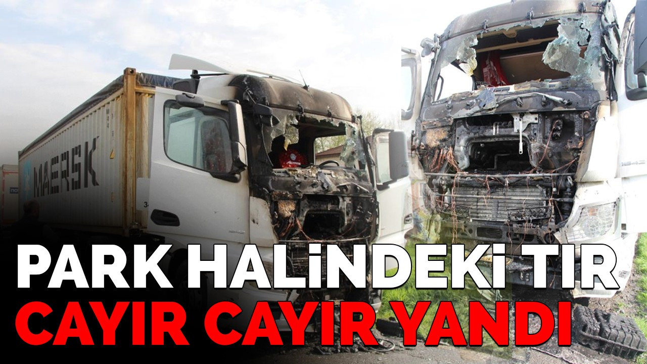 Park halindeki tır cayır cayır yandı