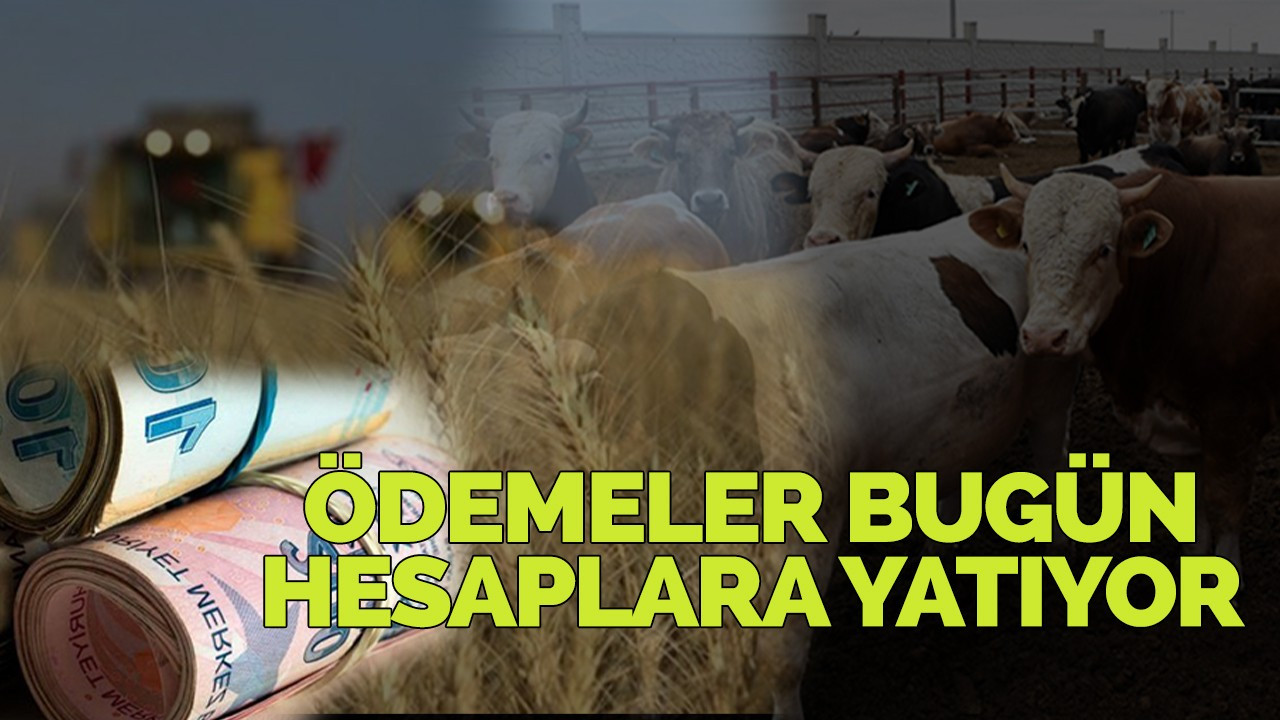 Ödemeler bugün hesaplara yatıyor