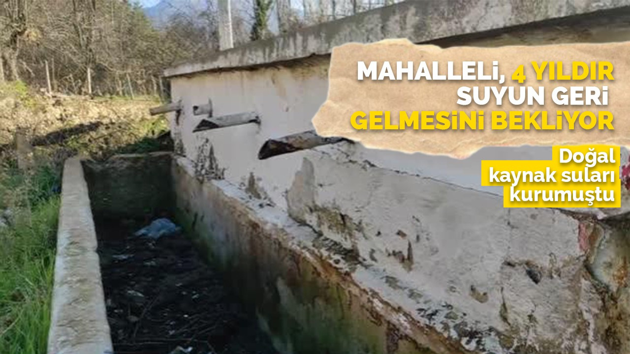 Mahalleli, 4 yıldır suyun geri gelmesini bekliyor