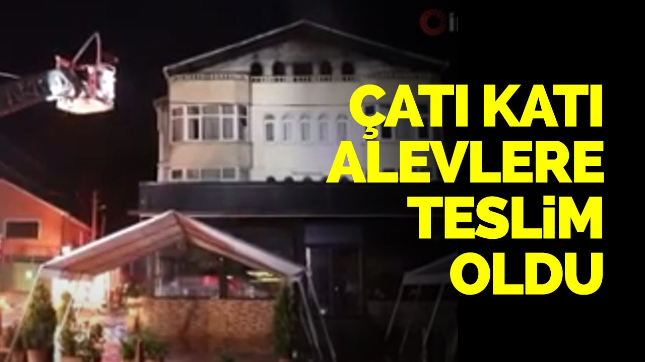 Çatı katı alevlere teslim oldu