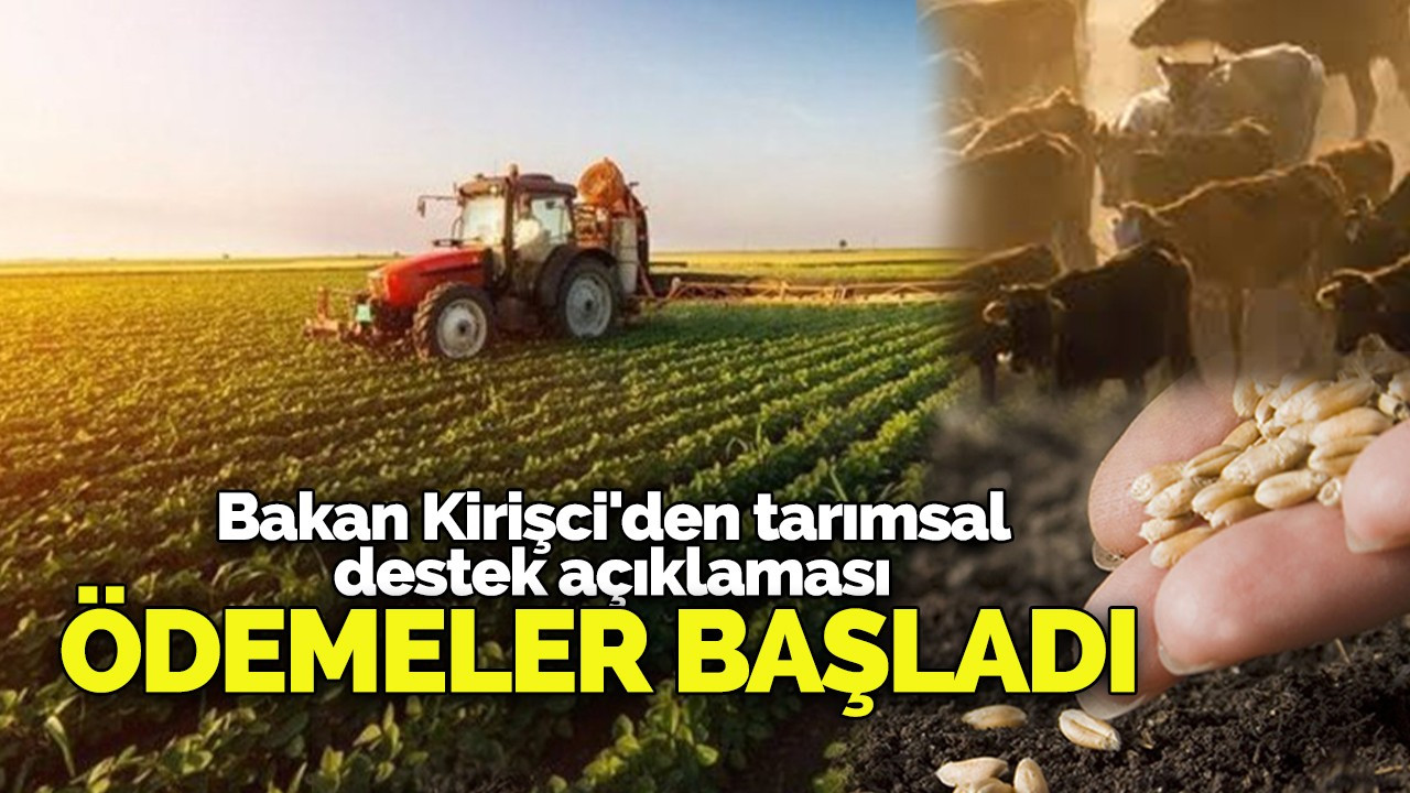 Tarımda destek ödemeleri başladı