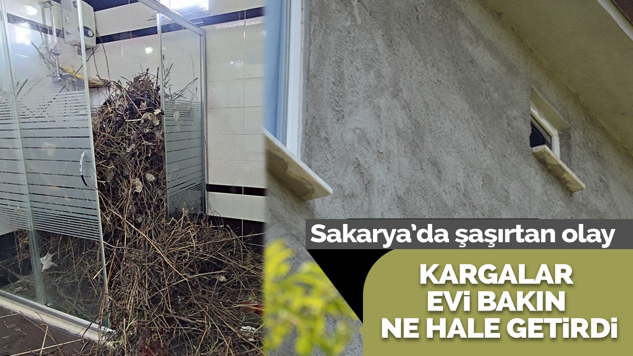 Sakarya’da şaşırtan olay: Kargalar evi bakın ne hale getirdi