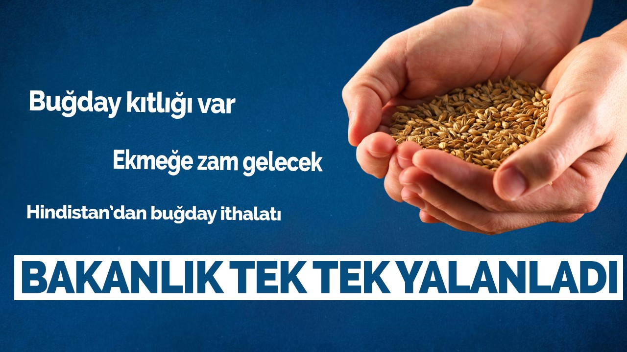 Tarım Bakanlığı'ndan 'Hindistan'dan buğday ithalatı' iddiasına yalanlama