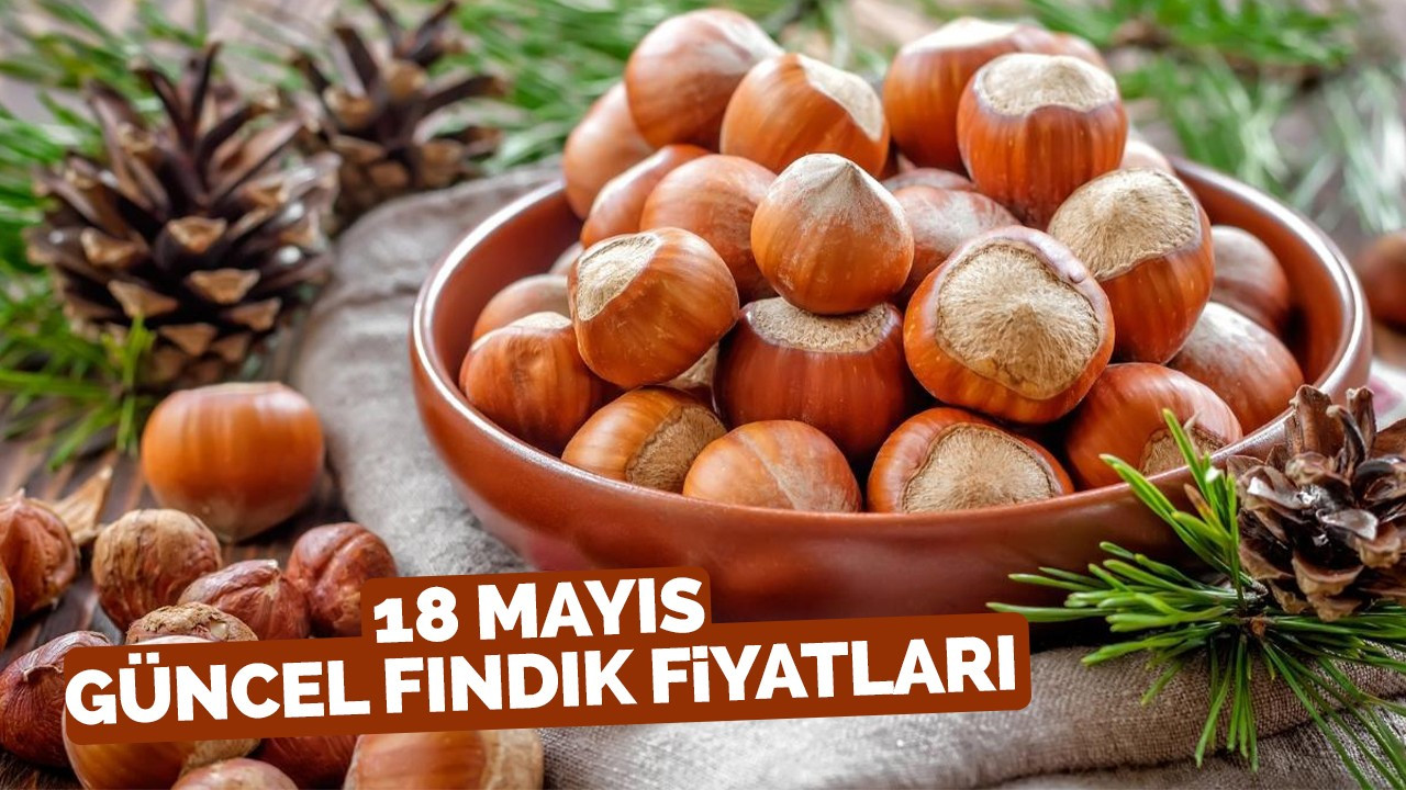 18 Mayıs güncel fındık fiyatları