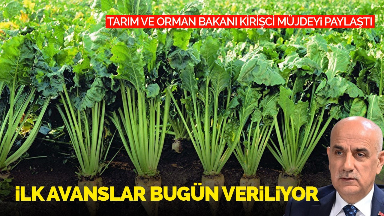 Tarım ve Orman Bakanı Kirişci müjdeyi paylaştı: İlk avanslar Bugün Veriliyor