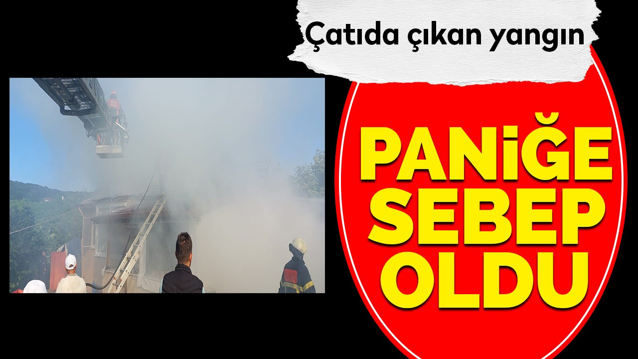 Çatıda çıkan yangın paniğe sebep oldu