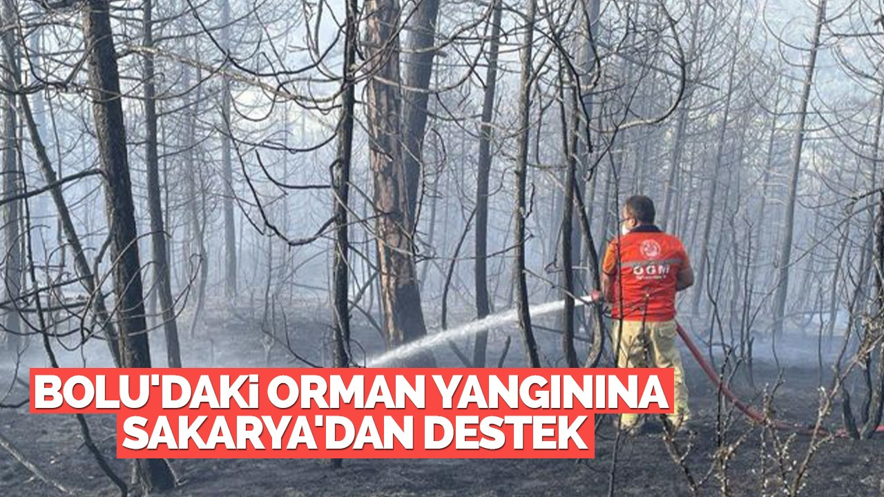 Bolu'daki orman yangınına Sakarya'dan destek