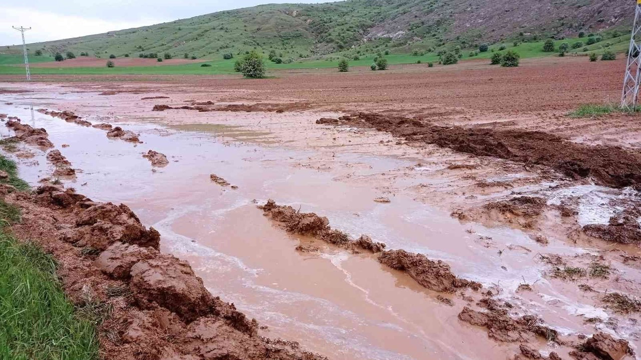Sivas’ta etkili olan dolu tarım arazilerine zarar verdi