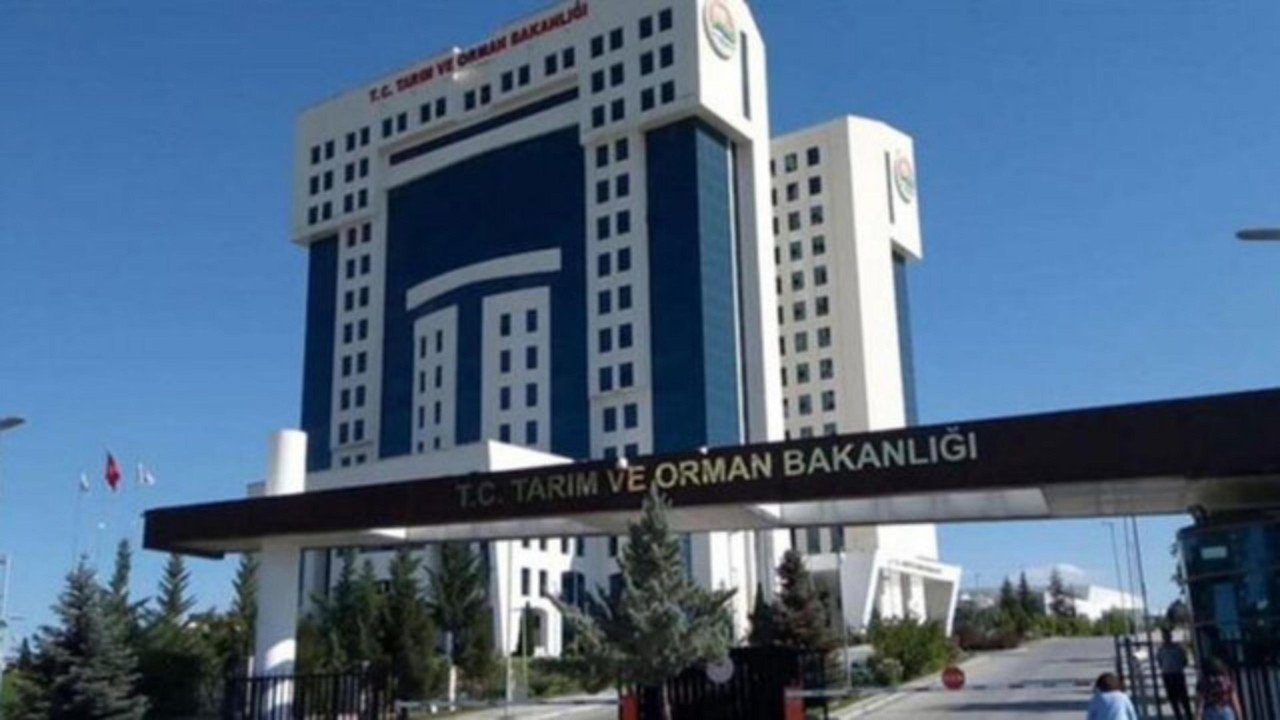 Tarım ve Orman Bakanlığı personel alacak! Tarım ve Orman Bakanlığı personel alımı başvuru şartları nelerdir?