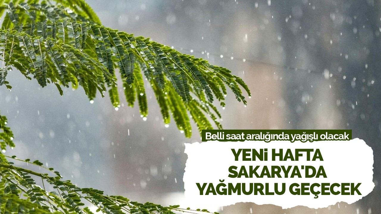 Yeni hafta Sakarya'da yağmurlu geçecek
