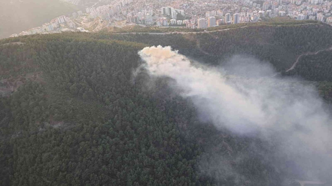 İzmir’de ormanlık alanda çıkan yangın söndürüldü