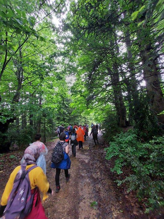 Doğa yürüyüşleri Karagöl’de devam etti - Sayfa 5