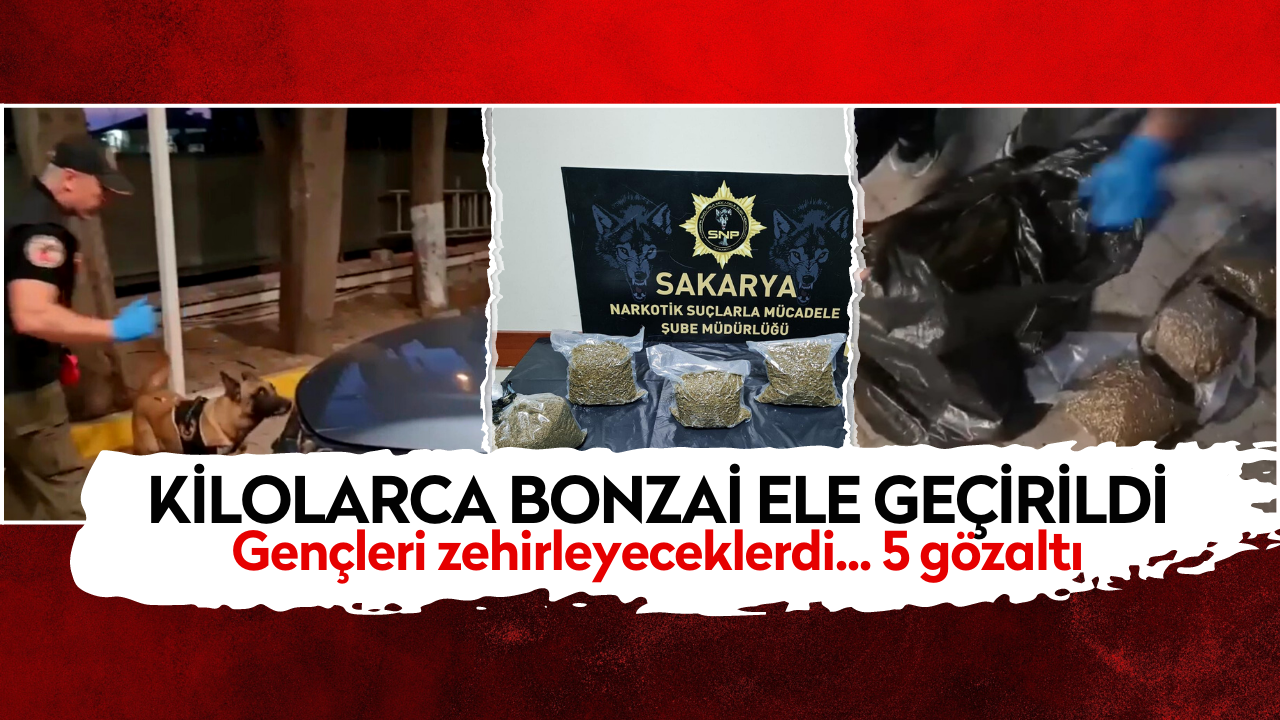 Kilolarca bonzai ele geçirildi: 5 gözaltı