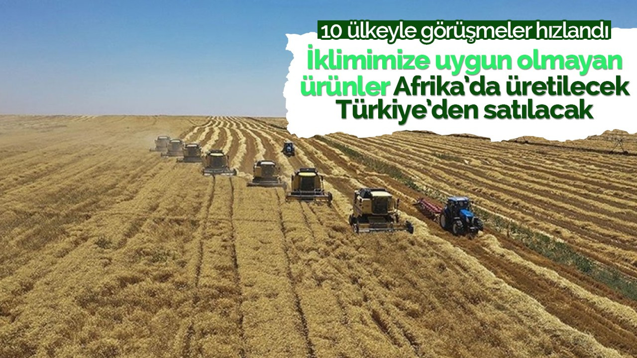 Türkiye, tarım için 10 ülkeden arazi kiralayacak