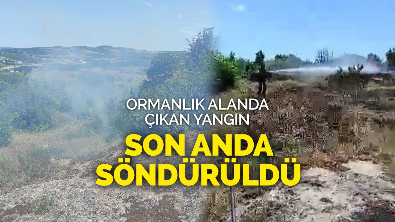 Ormanlık alanda çıkan yangın eve sıçramadan söndürüldü