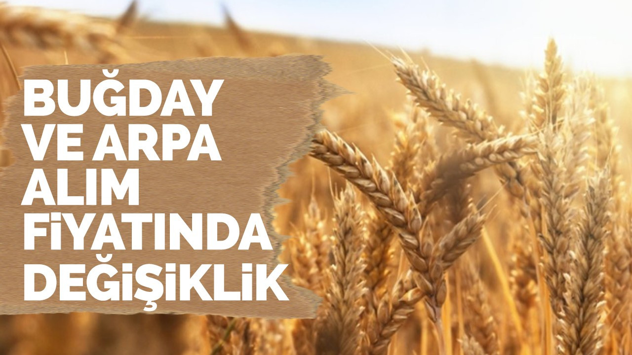 Buğday ve arpa alım fiyatında değişiklik