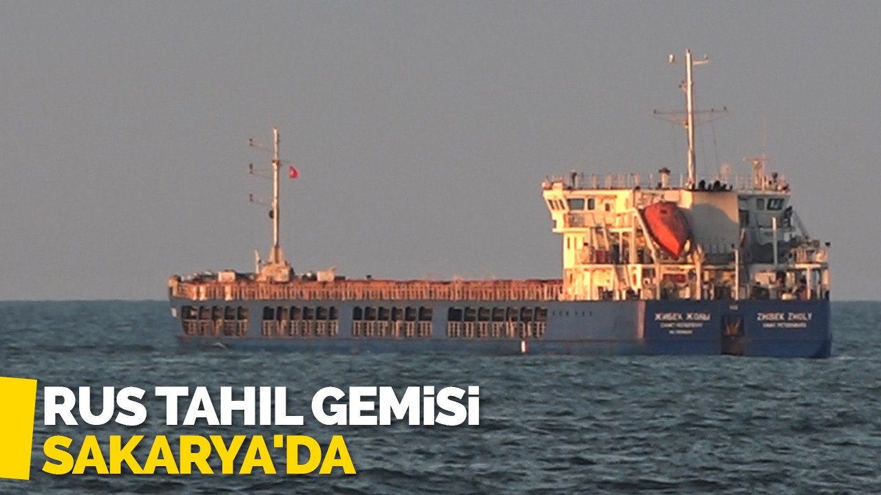 Rus tahıl gemisi Sakarya'da