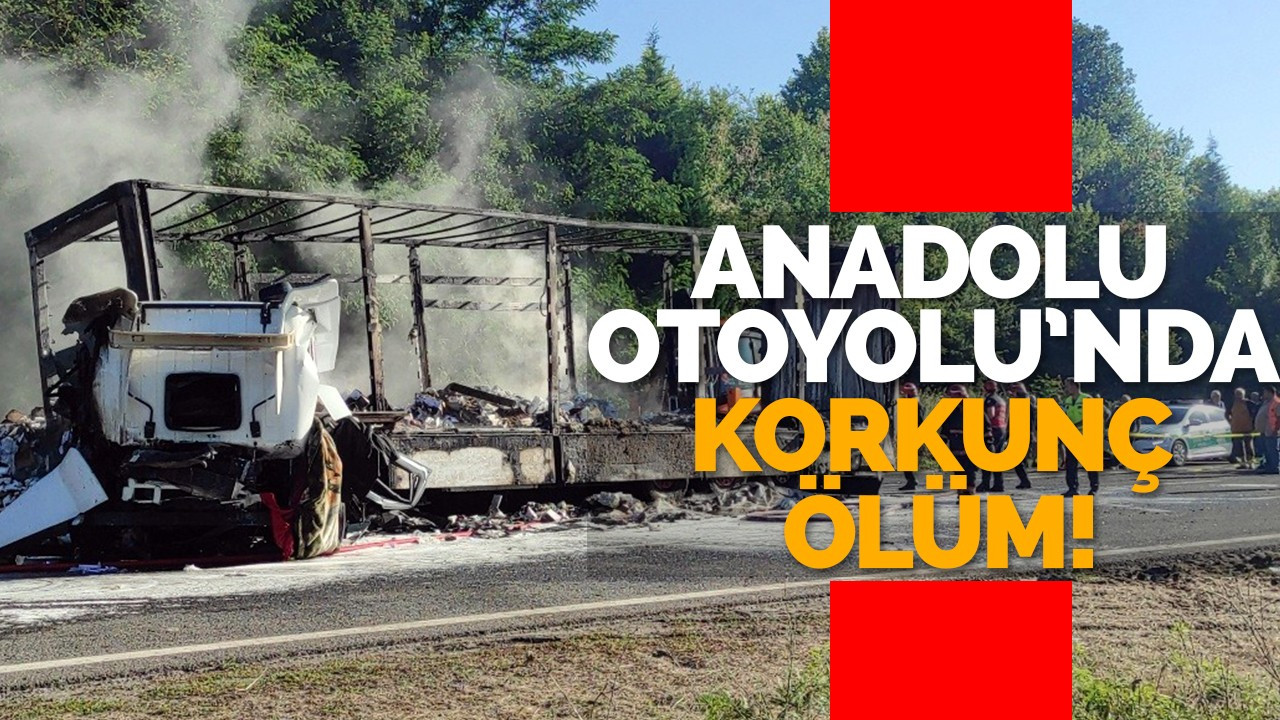 Anadolu Otoyolu’nda korkunç ölüm!