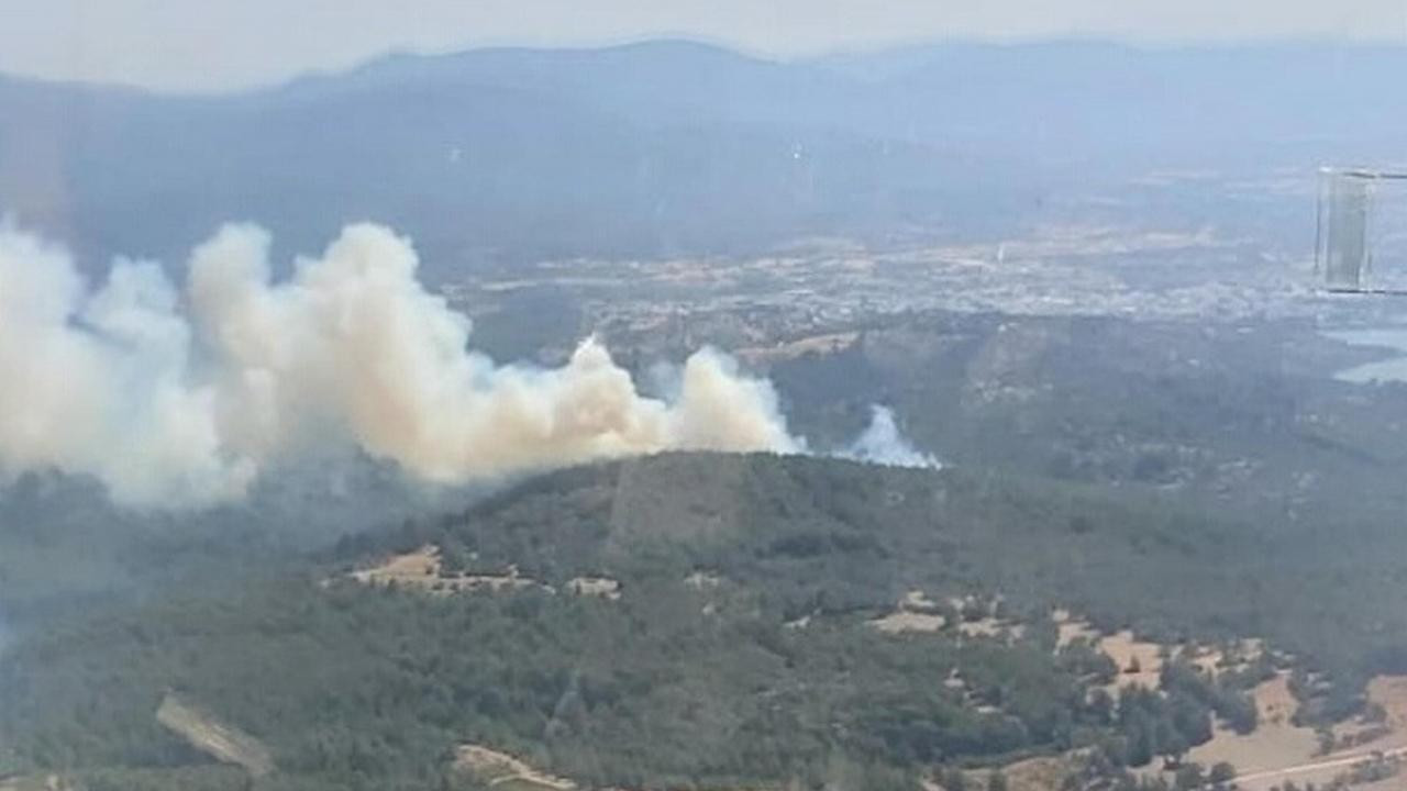 Bodrum’da orman yangını: 7 uçak müdahale etti