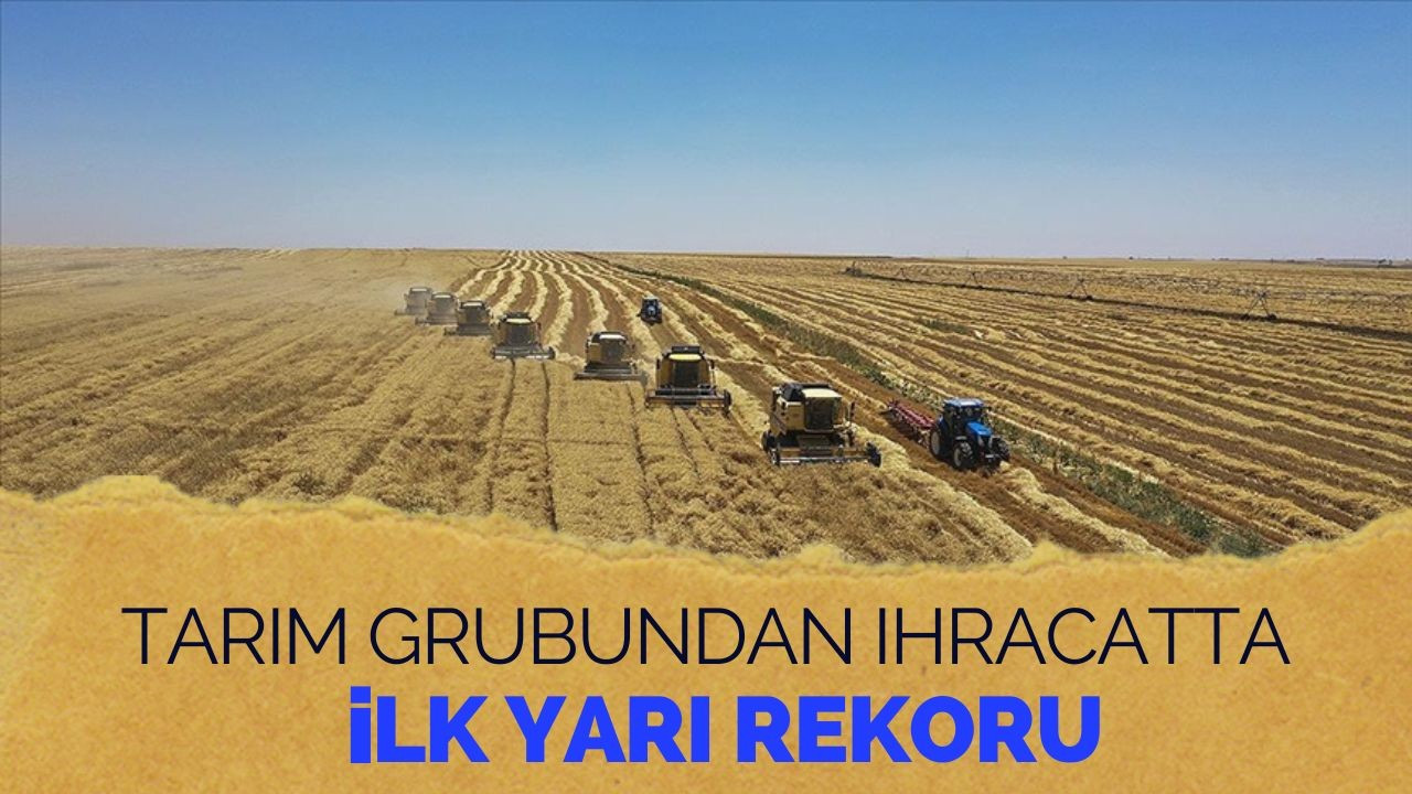 Tarım grubundan ihracatta ilk yarı rekoru