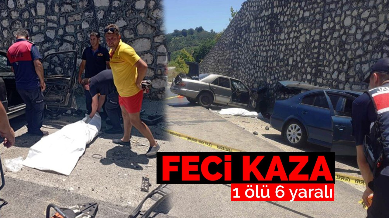 Feci kaza; 1 ölü 6 yaralı