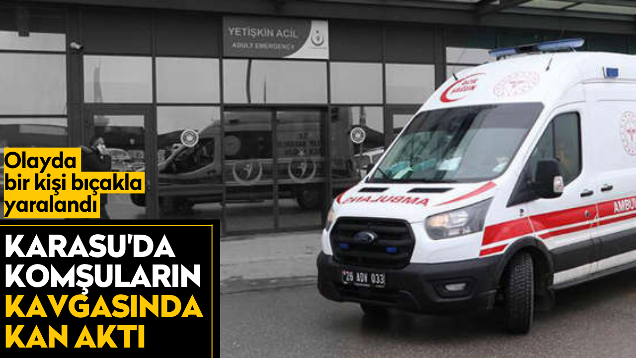 Karasu'da komşuların kavgasında kan aktı!