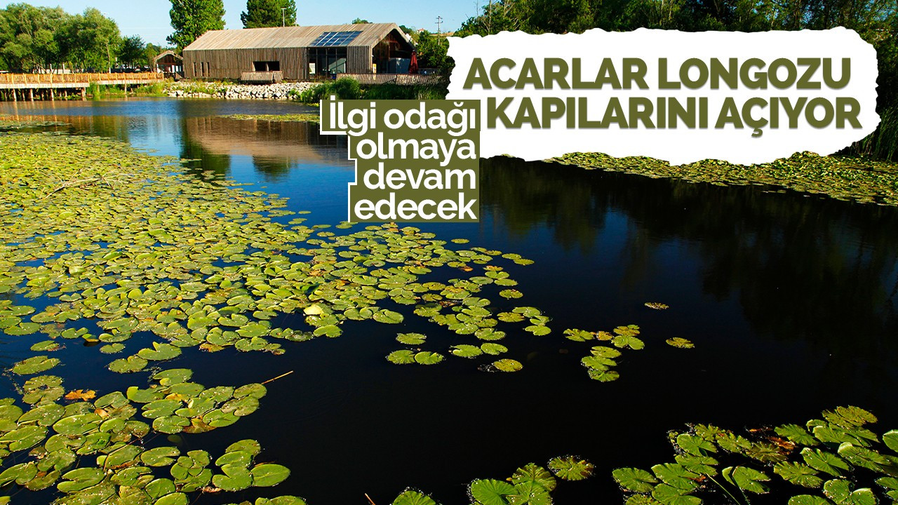 Acarlar Longozu kapılarını açıyor