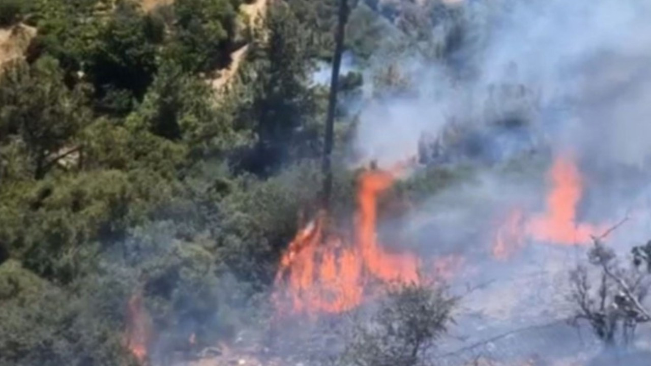 İzmir'de orman yangını! Ekipler müdahaleye başladı