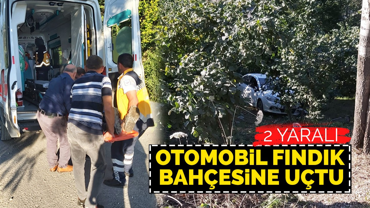 Otomobil fındık bahçesine uçtu: 2 yaralı