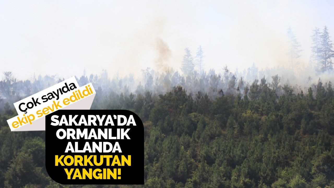 Ormanlık alanda korkutan yangın!