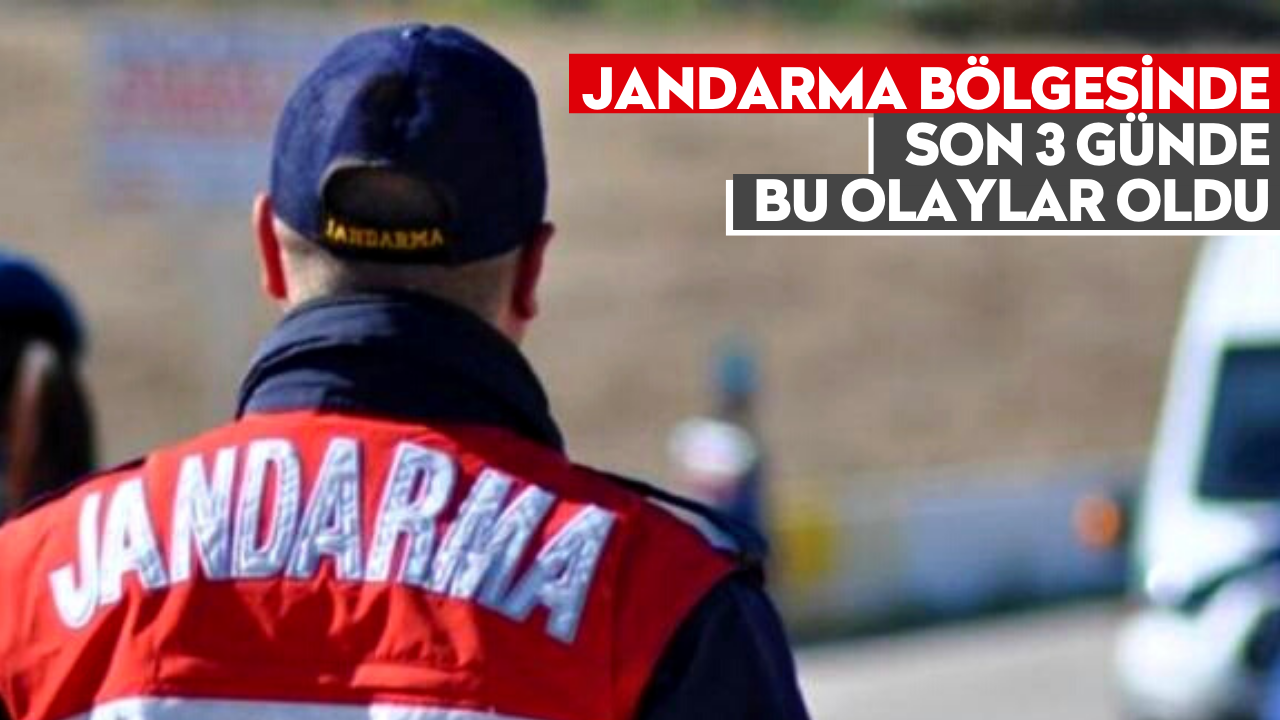 Jandarma bölgesinde son 3 günde bu olaylar oldu