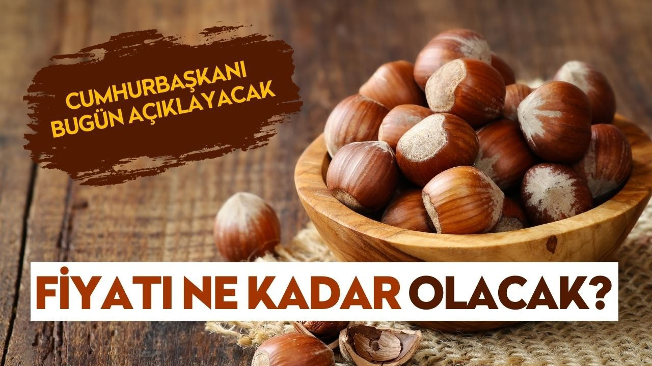 Cumhurbaşkanı bugün açıklayacak: Fındık fiyatı ne kadar olacak?