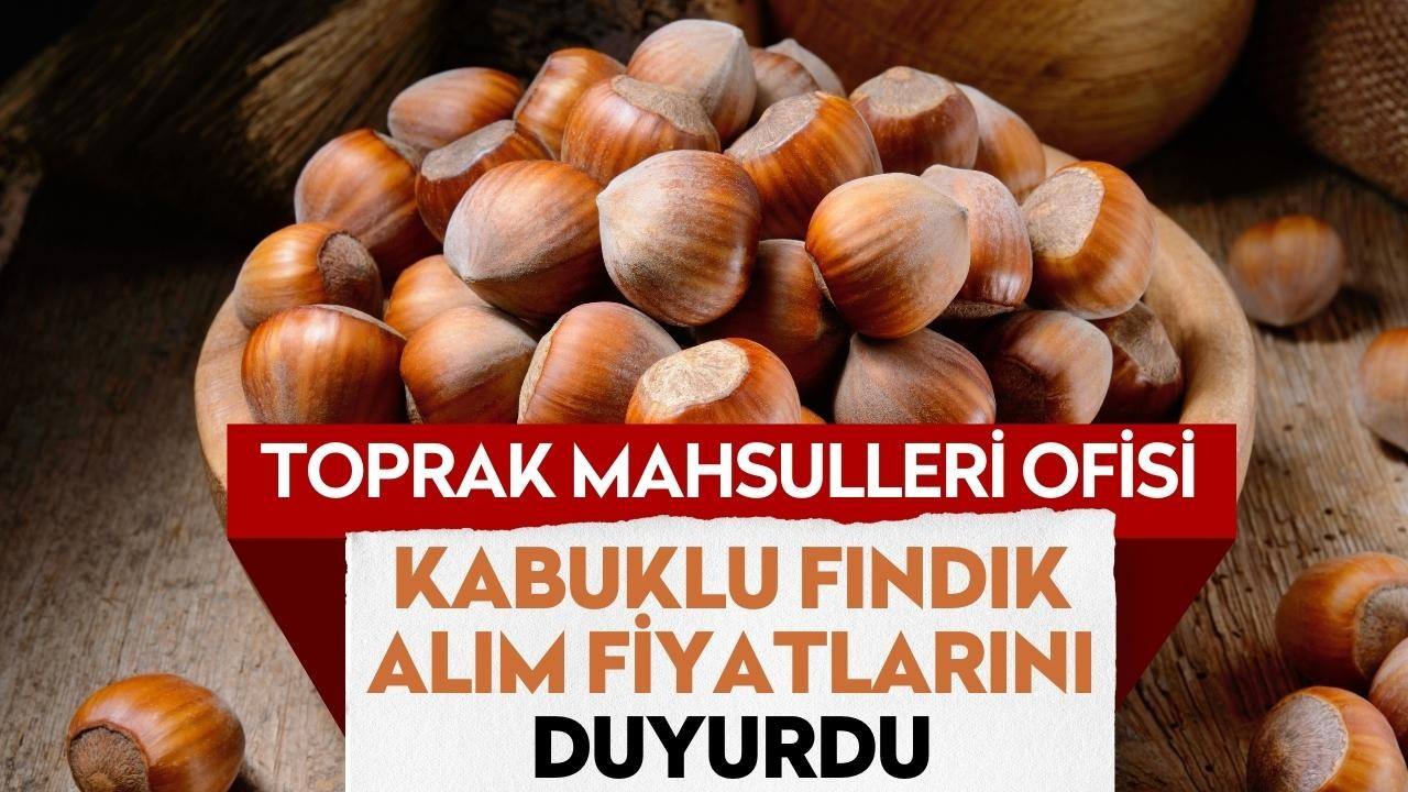 Toprak Mahsulleri Ofisi kabuklu fındık alım fiyatlarını belirledi