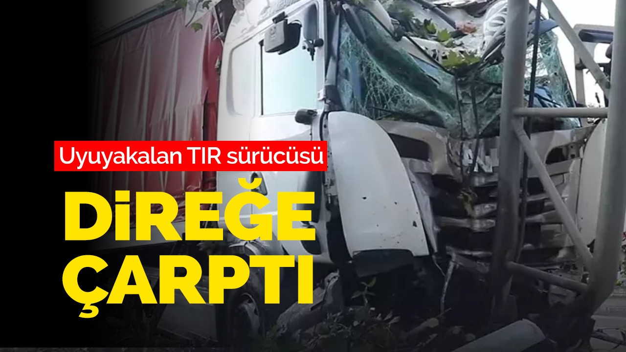 Uyuya kalan TIR sürücüsü direğe çarptı