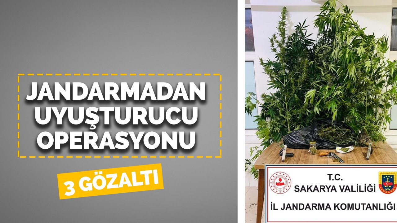 Jandarmadan uyuşturucu operasyonu: 3 gözaltı