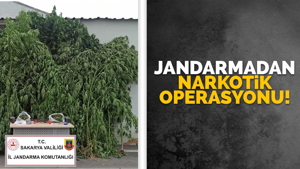 Jandarmadan narkotik operasyonu!