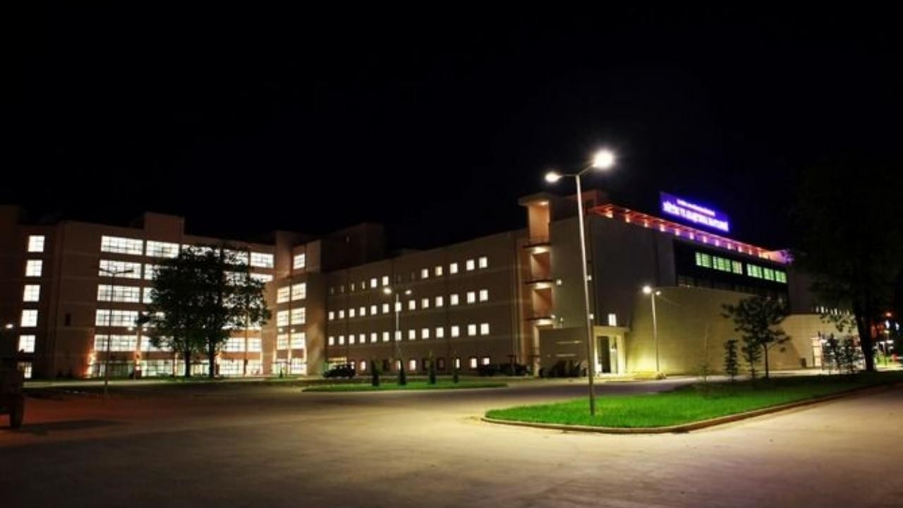 Ağaçtan düştü hastanelik oldu