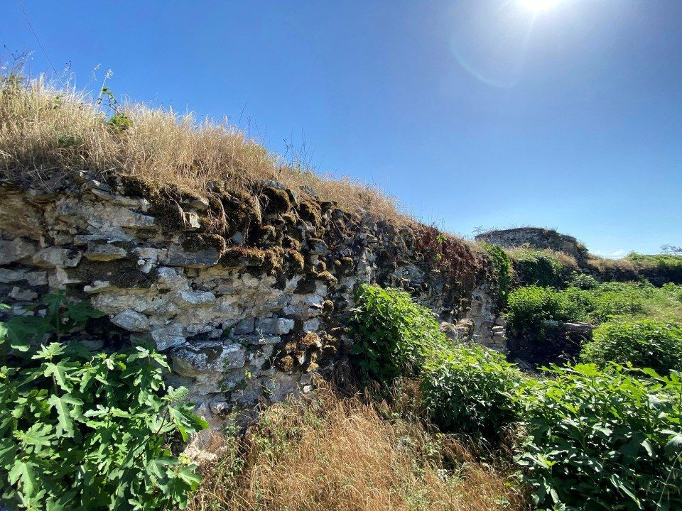 Harmantepe Kalesi yaklaşık 800 yıldır tarihe tanıklık ediyor - Sayfa 13