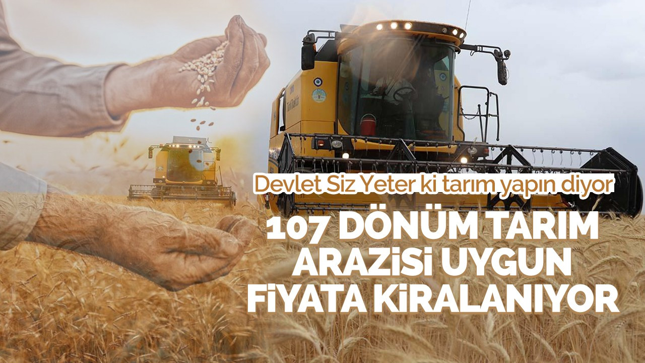 107 dönüm tarım arazisi uygun fiyata kiralanıyor