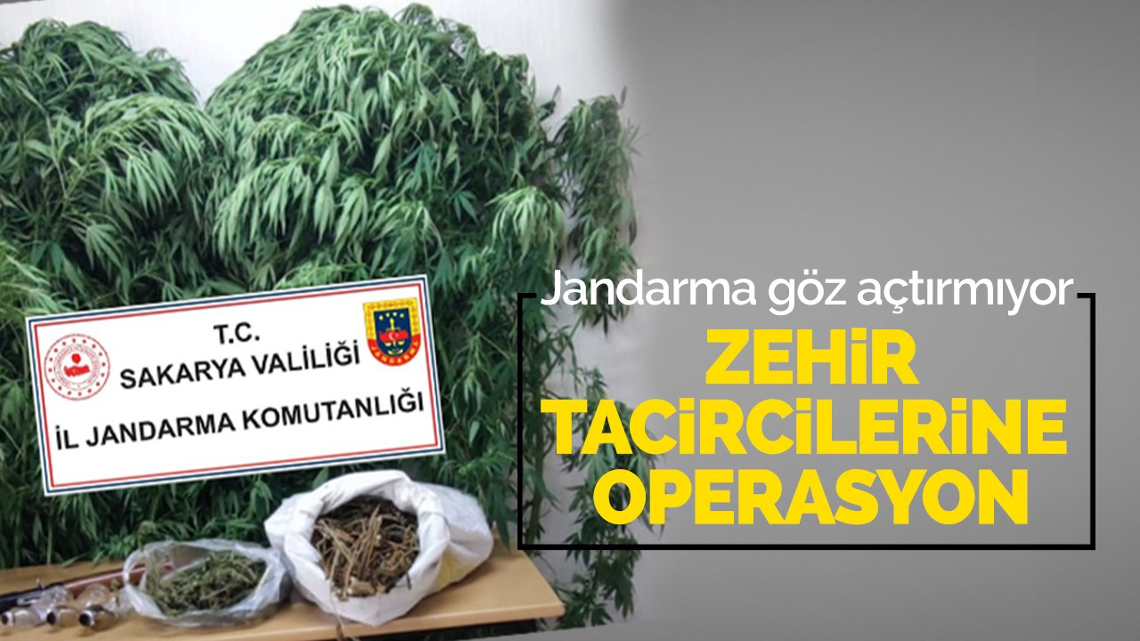 Jandarma uyuşturucu tacirlerine göz açtırmıyor