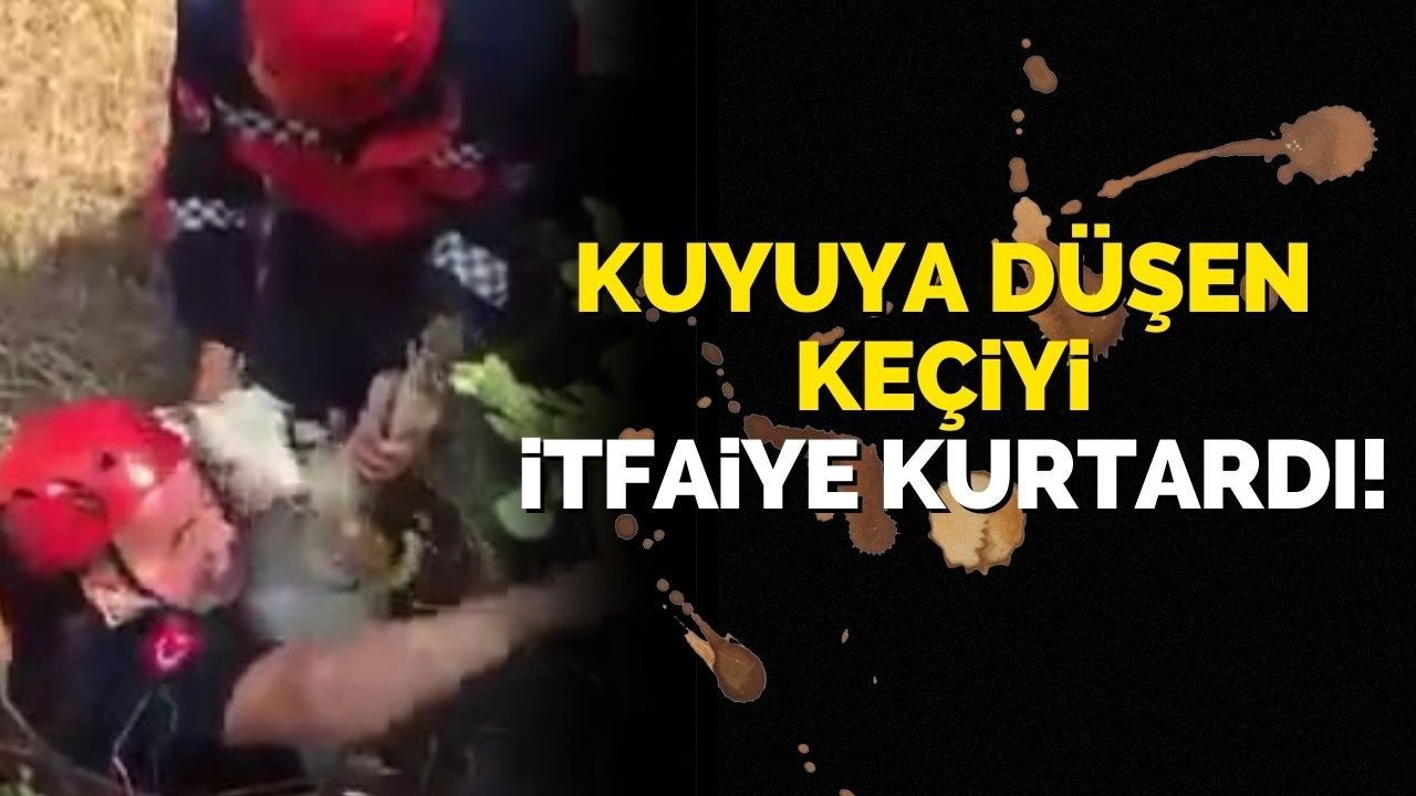 Kuyuya düşen keçi itfaiye kurtardı