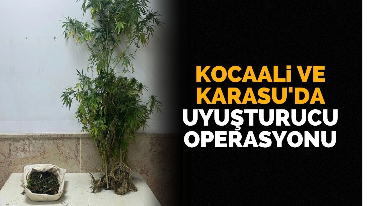 Kocaali'de ve Karasu'da uyuşturucu baskını