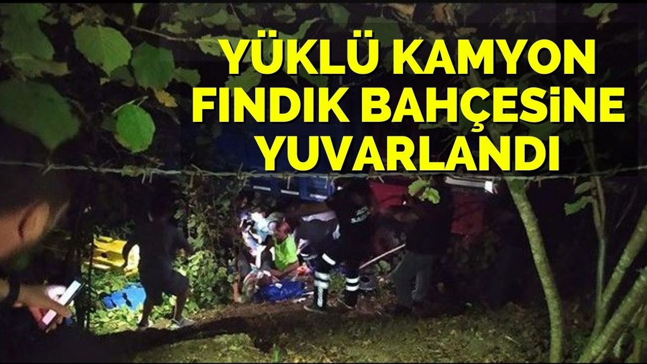 Yüklü kamyon fındık bahçesine yuvarlandı