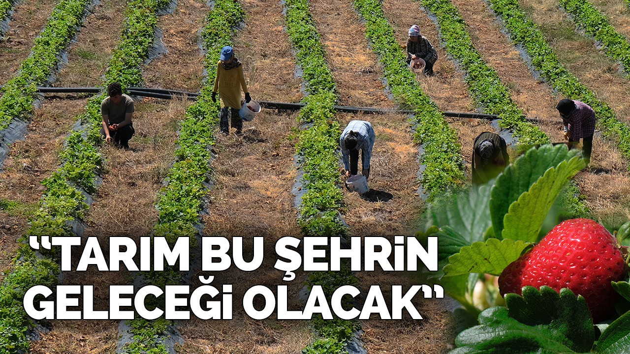 “Tarım bu şehrin geleceği olacak”