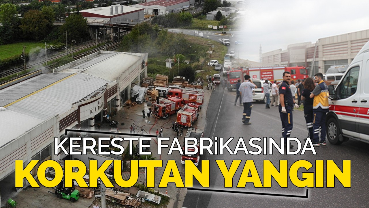 Arifiye'de yangın!