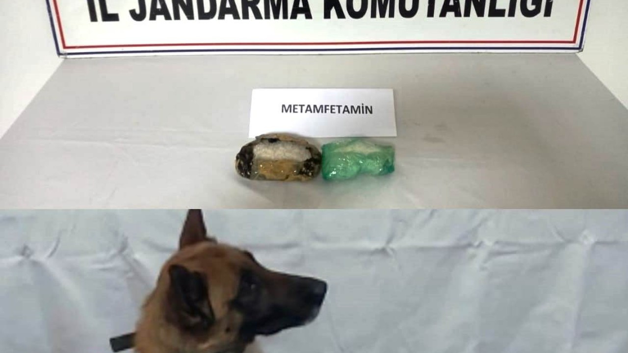 Kütahya’da otomobilde gizlenmiş uyuşturucuyu narkotik köpeği buldu