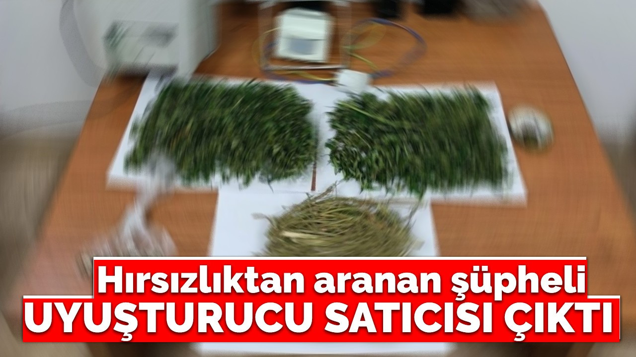 Hırsızlıktan aranan şüpheli uyuşturucu satıcısı çıktı