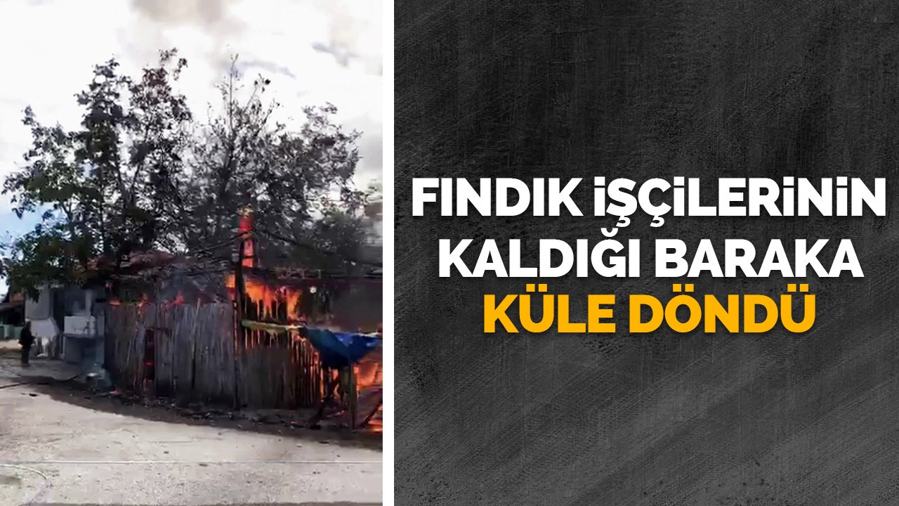 Fındık işçilerinin kaldığı baraka küle döndü