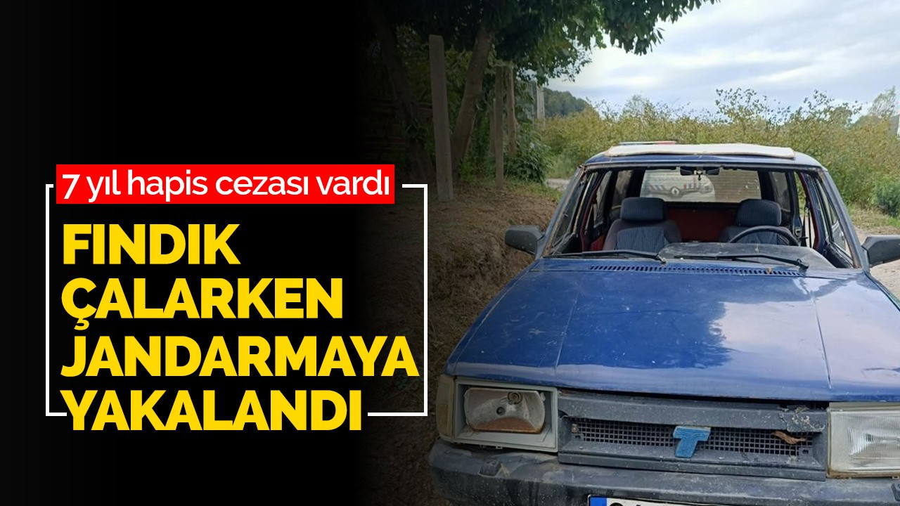 7 yıl hapis cezası vardı, fındık çalarken jandarmaya yakalandı